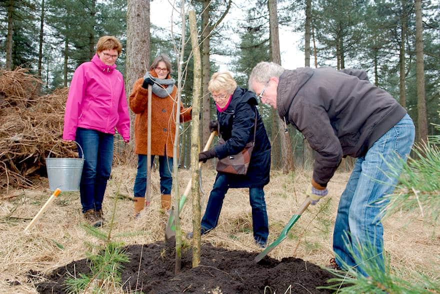 20150314_hortipoint_boomplantdag_011 20150314_hortipoint_boomplantdag_011