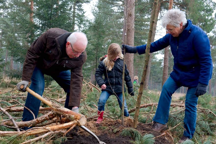 20150314_hortipoint_boomplantdag_180