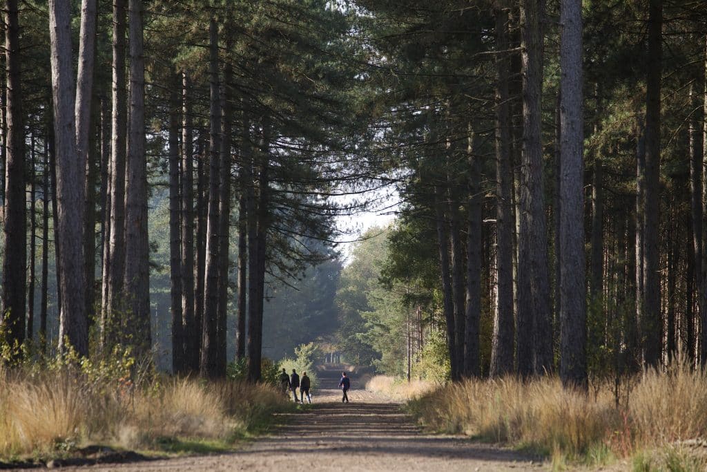 Natuurbegraafplaats De Utrecht