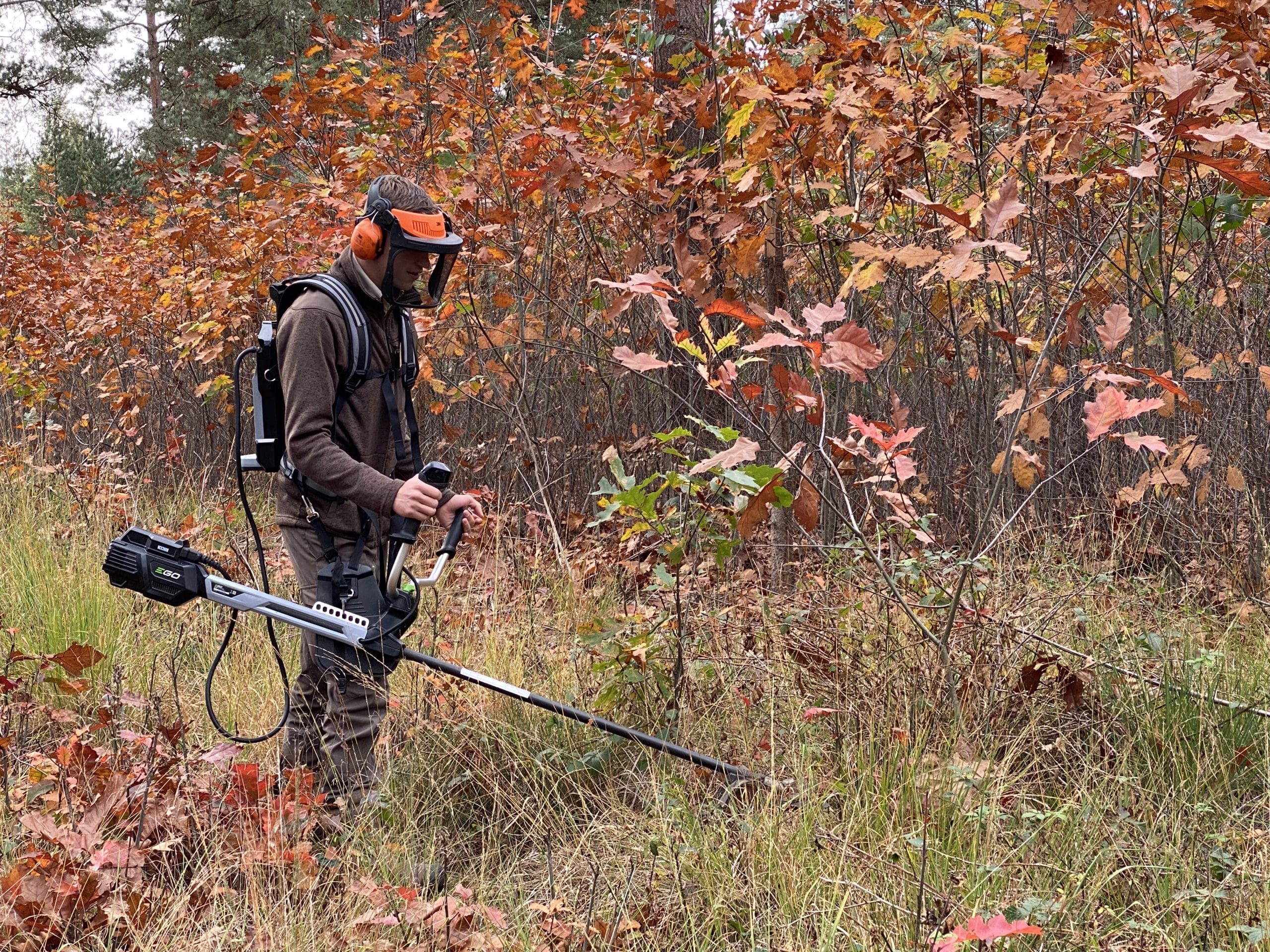 Nieuws uit het bos - Natuurbegraafplaats De Utrecht