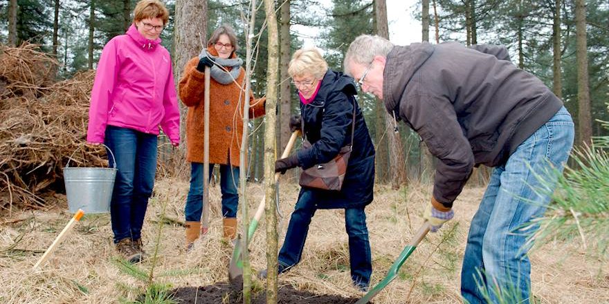 20150314_hortipoint_boomplantdag_011