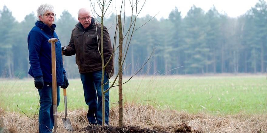 20150314_hortipoint_boomplantdag_059