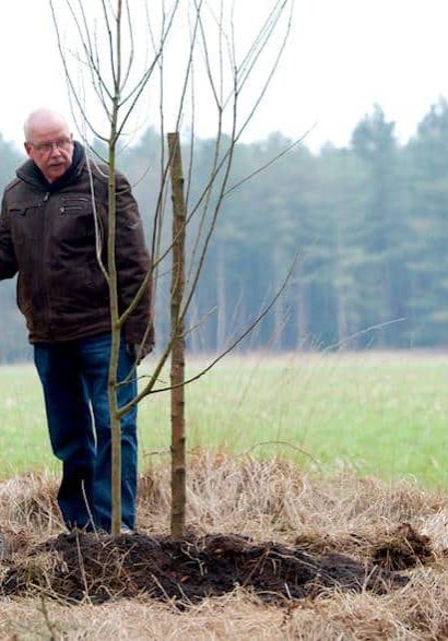 20150314_hortipoint_boomplantdag_059