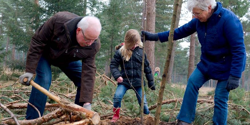 20150314_hortipoint_boomplantdag_180