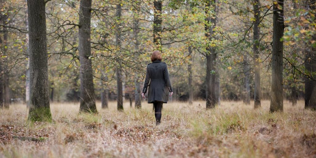 De_Utrecht_herfst_6856